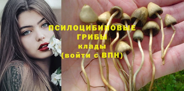 прущие крисы Армянск