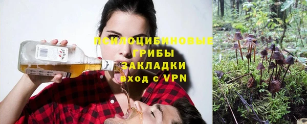 прущие крисы Армянск