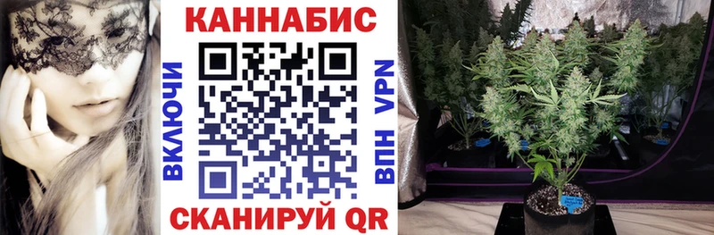 где купить наркоту  Сунжа  Канабис Bruce Banner 
